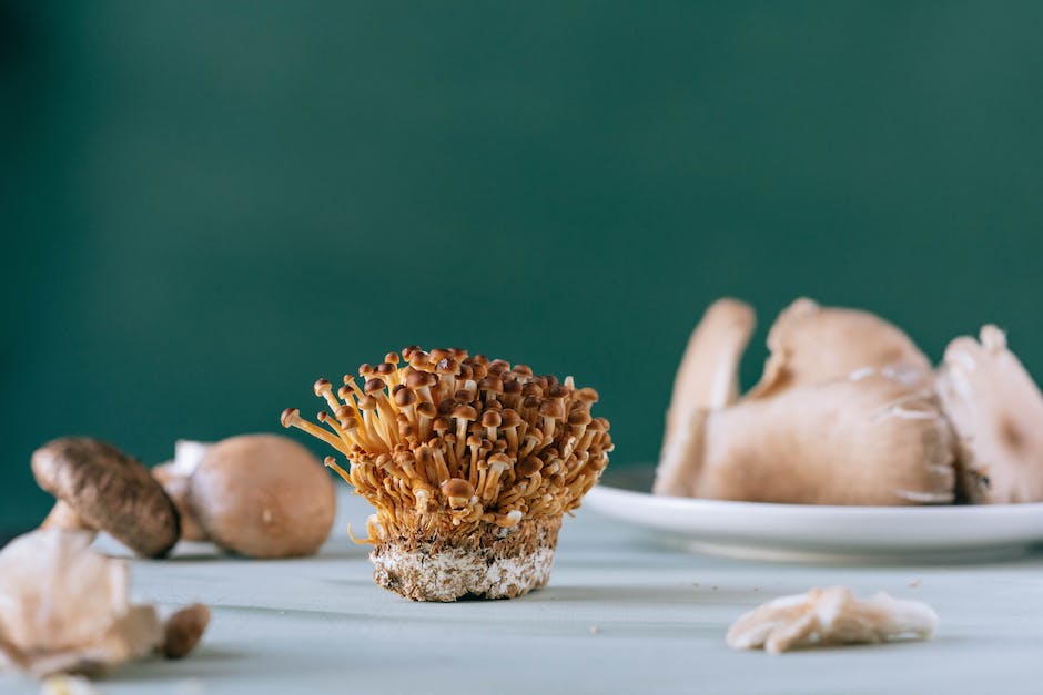 Alt-Attribut für anorganische Stoffe in Biologie